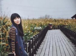 海面
